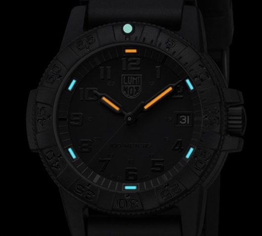 นาฬิกาLuminox Leatherback Sea Turtle 0300 Series รุ่น XS.0301.BO