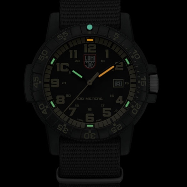 นาฬิกา Luminox LEATHERBACK SEA TURTLE GIANT 0320 SERIES รุ่น XS.0333