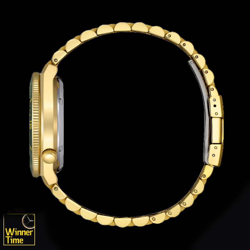 นาฬิกา Citizen Mechanical รุ่น NJ0232-53X