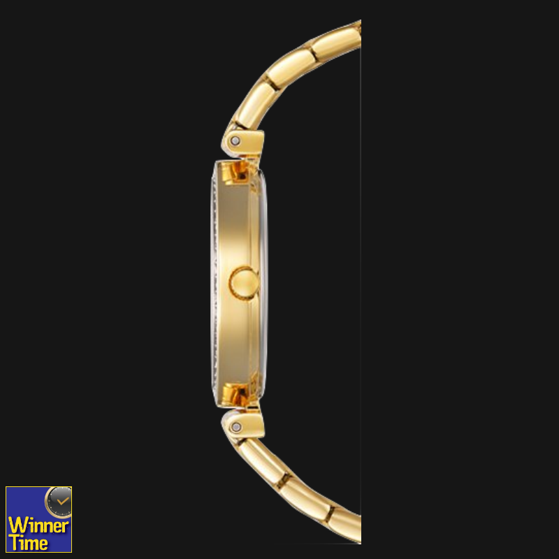 นาฬิกา CITIZEN Quartz Ladies รุ่น ER0212-50Y